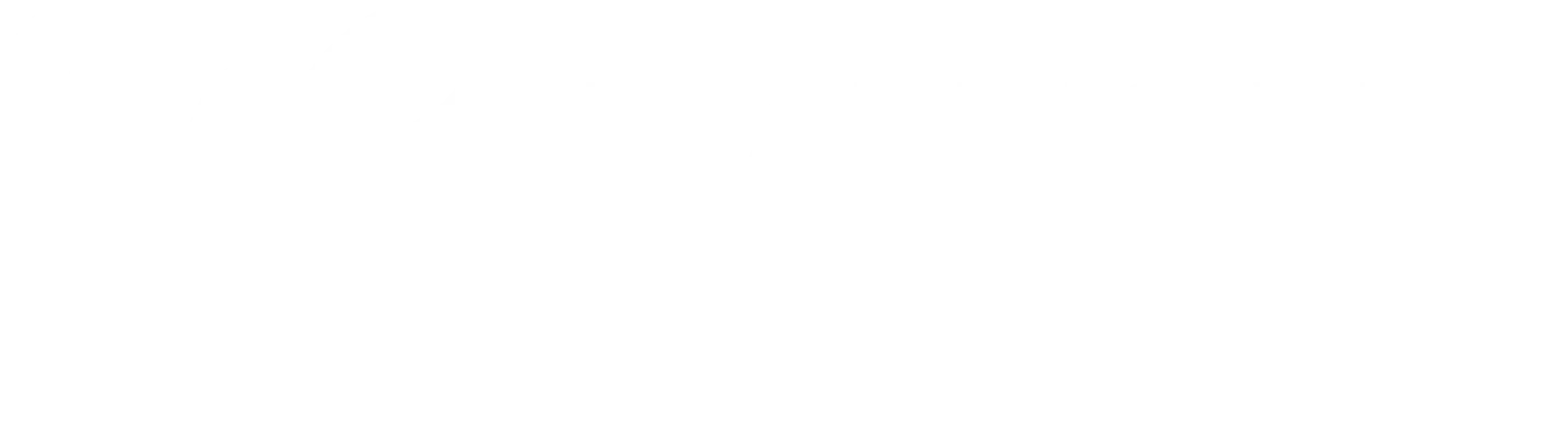 leading vibe initiative logo